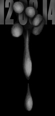 Bild von atti