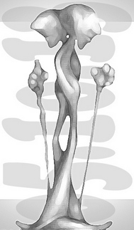 Bild von atti