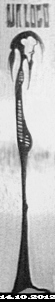 Bild von atti