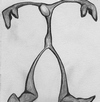 Bild von atti